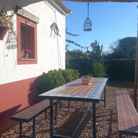 Casa Rural Camino De Los Molinos Y Su Establo La Puebla de los Infantes Exterior foto